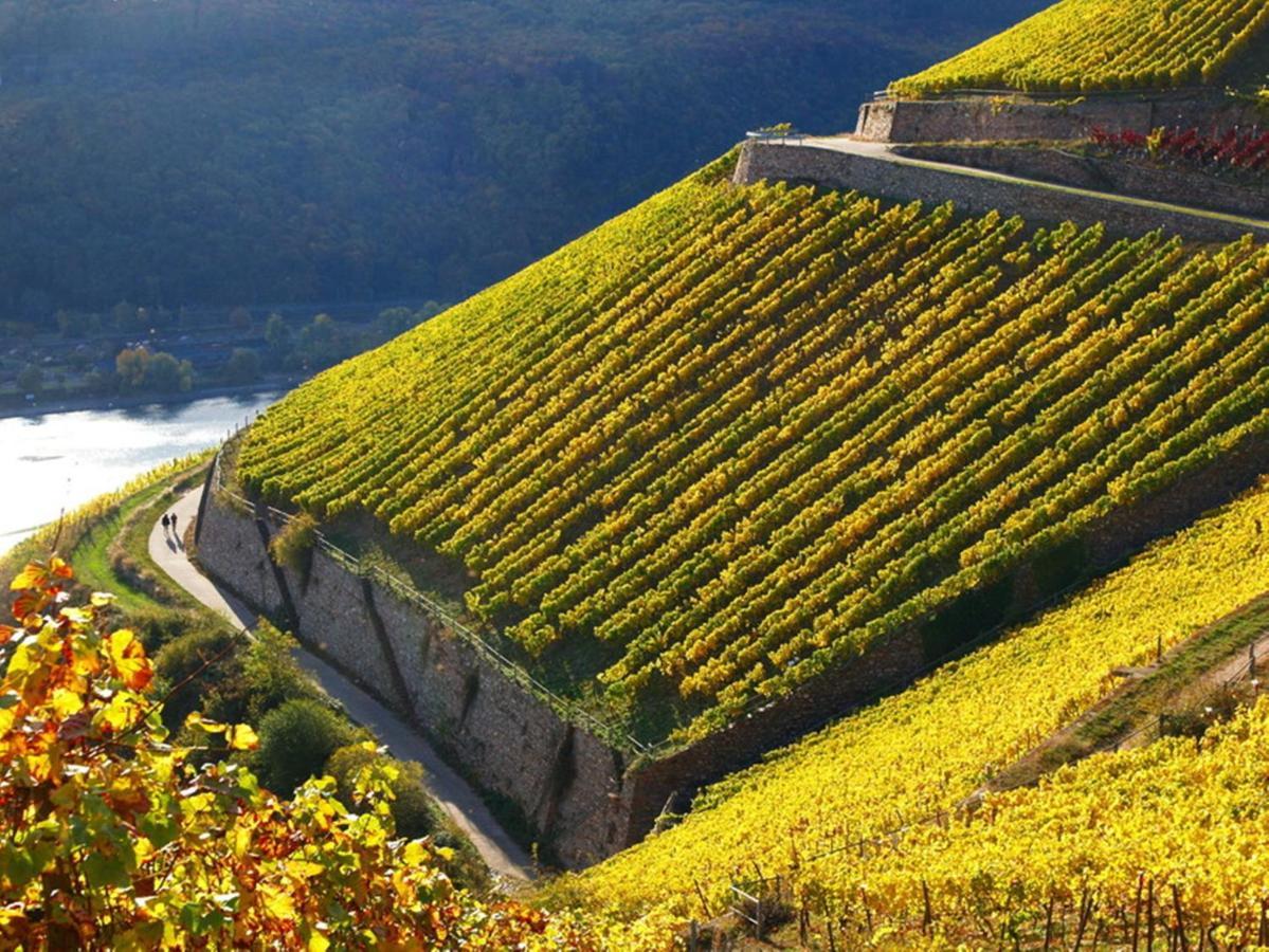 Hotel Trapp Rudesheim am Rhein Bagian luar foto