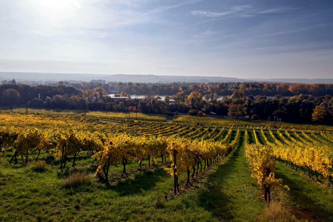 Hotel Trapp Rudesheim am Rhein Bagian luar foto